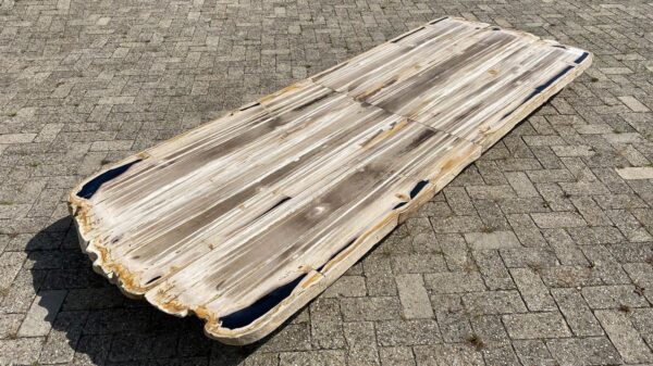 Table top petrified wood 54251