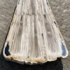 Table top petrified wood 54251