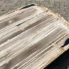 Table top petrified wood 54251