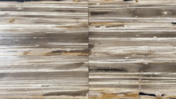 Table top petrified wood 54251