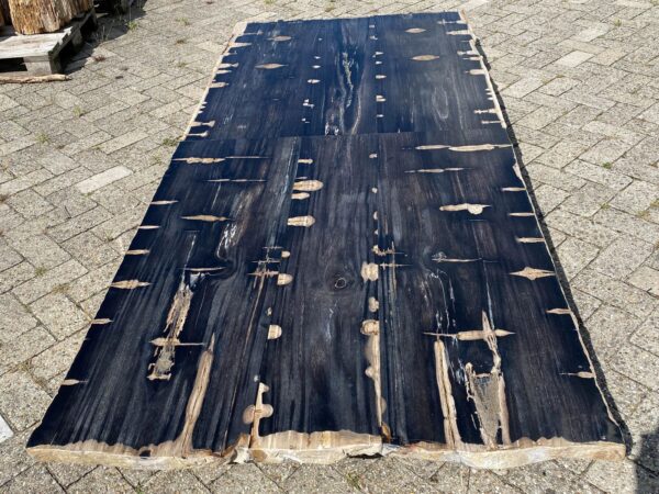 Table top petrified wood 54252