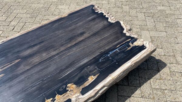 Table top petrified wood 54253