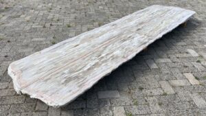 Table top petrified wood 54254