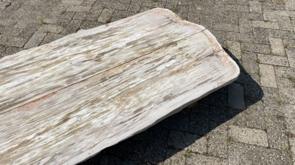 Table top petrified wood 54254