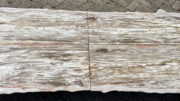 Table top petrified wood 54254