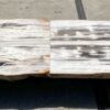 Table top petrified wood 54266