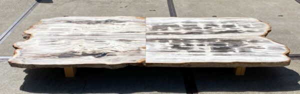 Table top petrified wood 54266