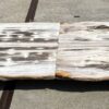Table top petrified wood 54266