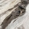 Table top petrified wood 54266