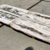 Table top petrified wood 54266