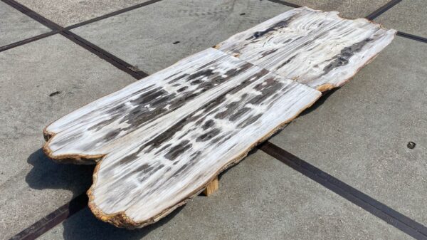 Table top petrified wood 54266