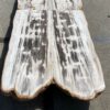 Table top petrified wood 54266