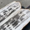 Table top petrified wood 54266