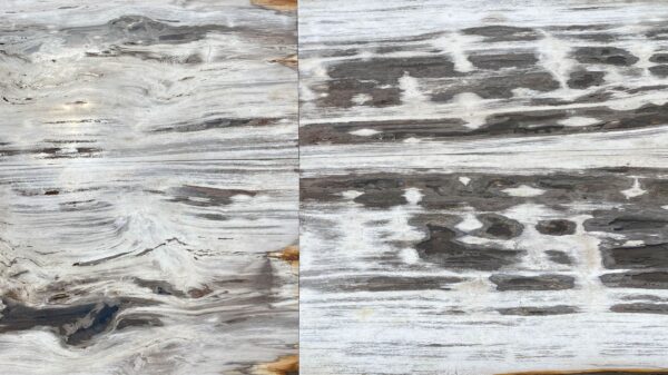 Table top petrified wood 54266