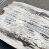 Table top petrified wood 54266