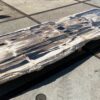 Table top petrified wood 54267