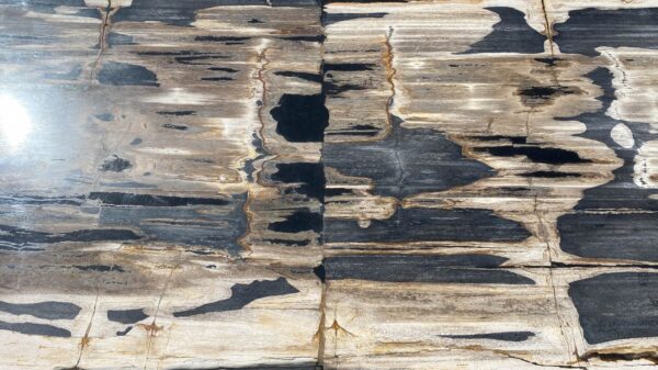 Table top petrified wood 54267