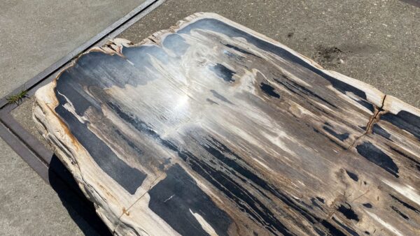 Table top petrified wood 54267