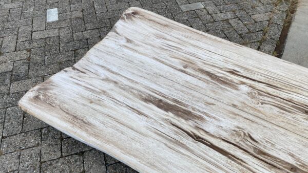 Tafelblad versteend hout 54235