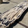 Tafelblad versteend hout 54240