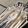 Tafelblad versteend hout 54240