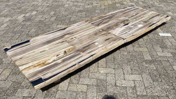 Tafelblad versteend hout 54249