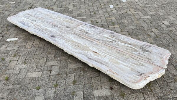 Tafelblad versteend hout 54254