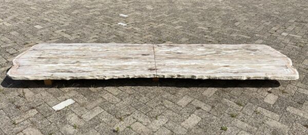 Tafelblad versteend hout 54254