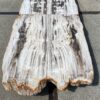 Tafelblad versteend hout 54266