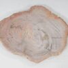 Teller versteinertes Holz 54062
