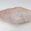 Teller versteinertes Holz 54062