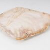 Teller versteinertes Holz 54063