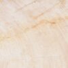 Teller versteinertes Holz 54064