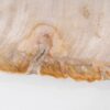 Teller versteinertes Holz 54064
