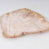 Teller versteinertes Holz 54066