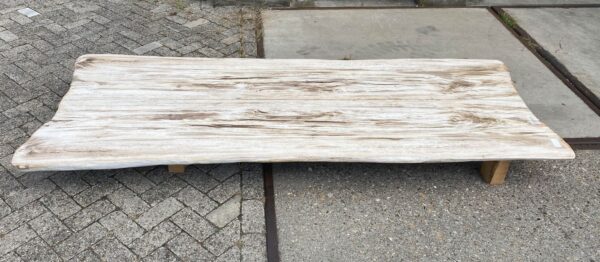 Tisch versteinertes Holz 54235