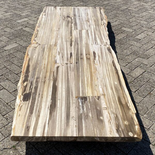 Tisch versteinertes Holz 54250