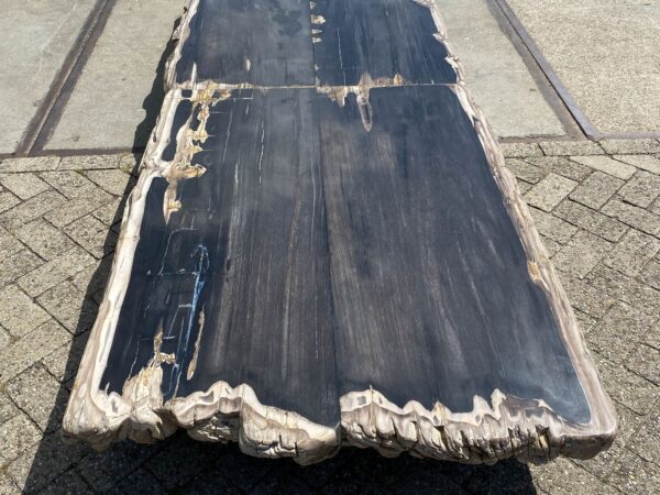 Tisch versteinertes Holz 54253