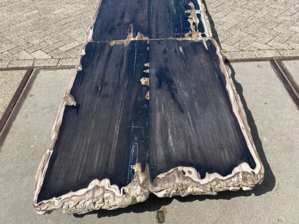 Tisch versteinertes Holz 54253