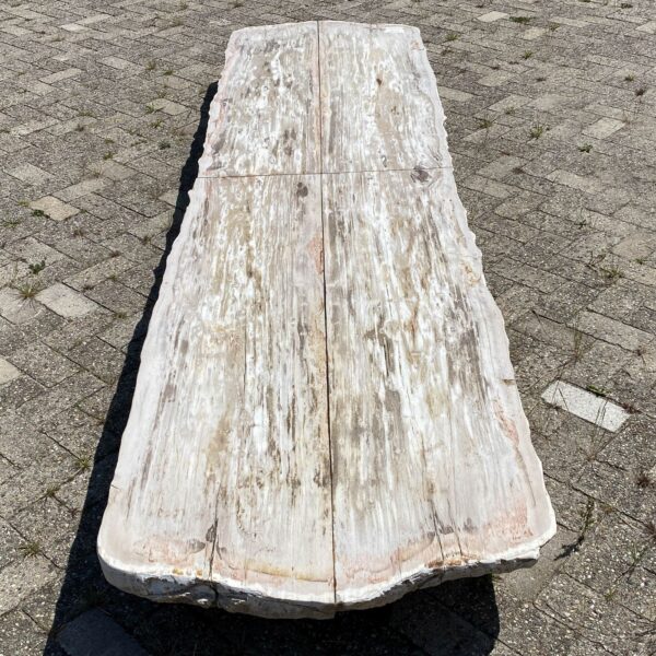 Tisch versteinertes Holz 54254