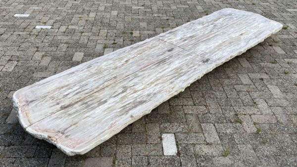 Tisch versteinertes Holz 54254