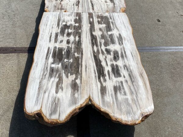 Tisch versteinertes Holz 54266