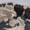 Waschbecke versteinertes Holz 55281