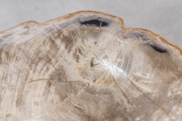 Wash hand basin petrified wood 55273