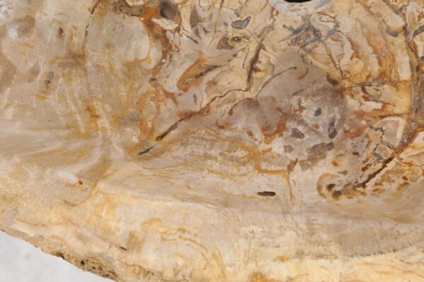 Wash hand basin petrified wood 55283