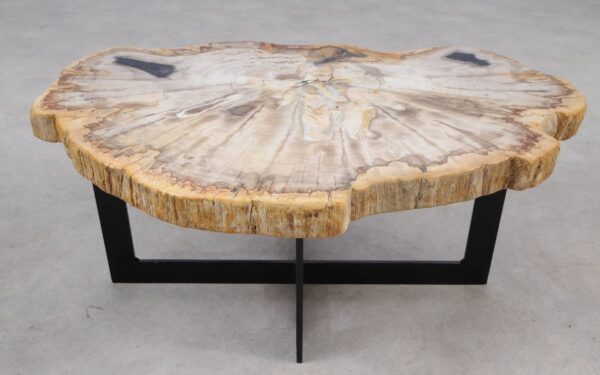 Coffee table petrified wood 55146