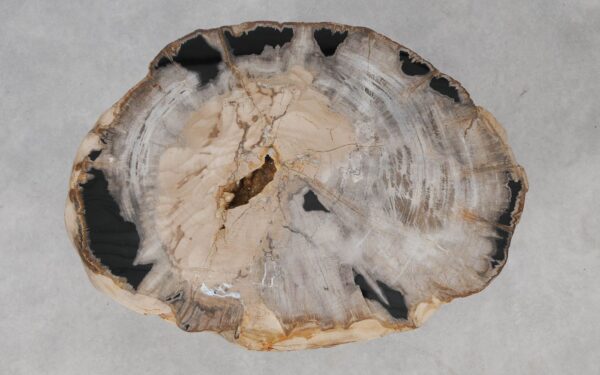 Coffee table petrified wood 55147