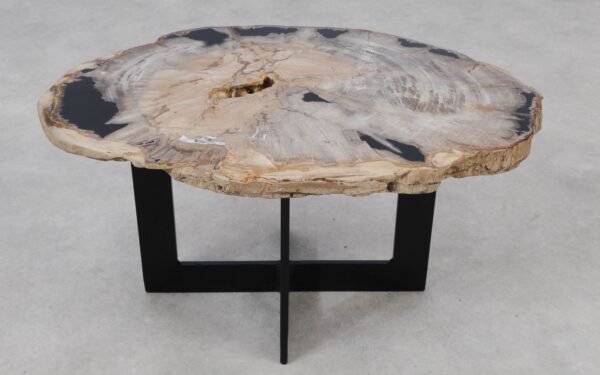 Coffee table petrified wood 55147