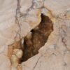 Coffee table petrified wood 55147