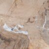 Coffee table petrified wood 55147